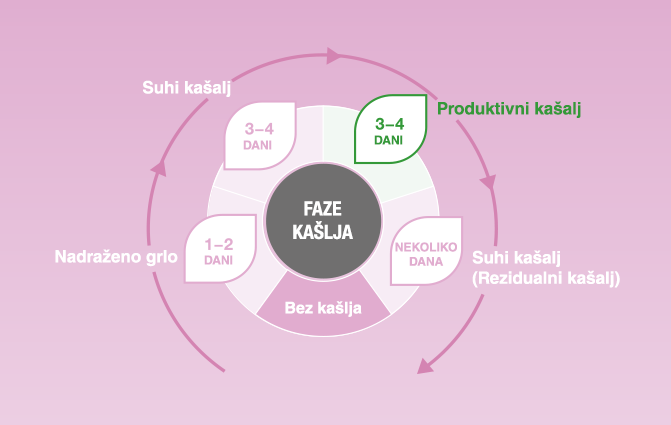 Grafički prikaz: Faze kašlja & aktivne komponente Bronchostop sirupa